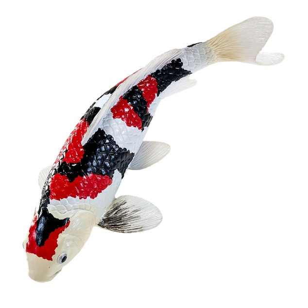 Mojo Kapr koi showa sanshoku