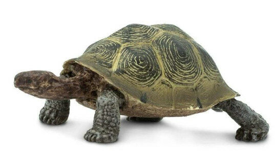 Safari® Korytnačka púštna
