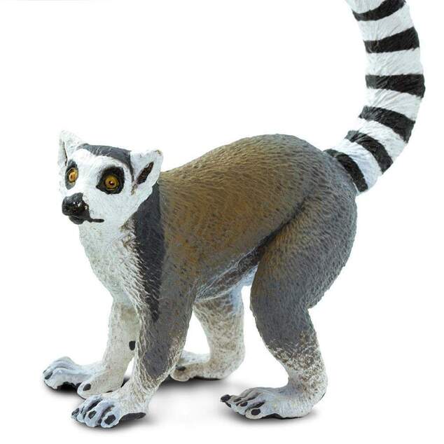 Safari® Lemure