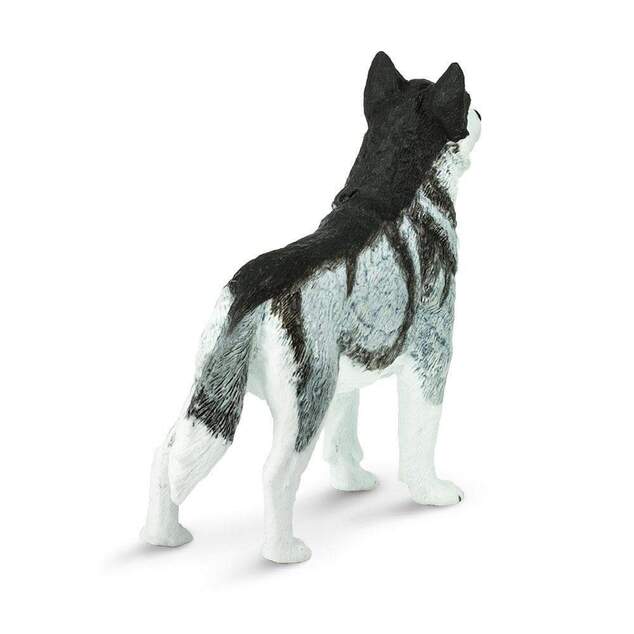 Safari® Sibírsky husky