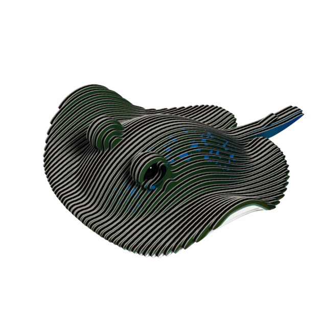 EUGY Raja 3D kartonasta sestavljanka