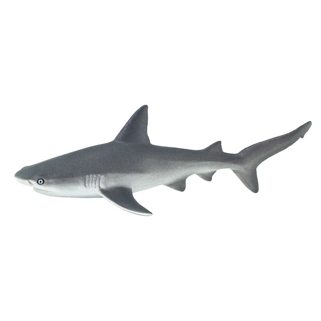 Safari® Grauer Riffhai