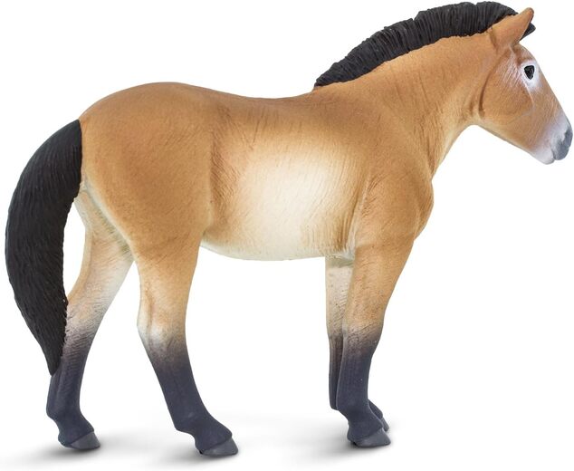 Safari® Kôň Przewalského