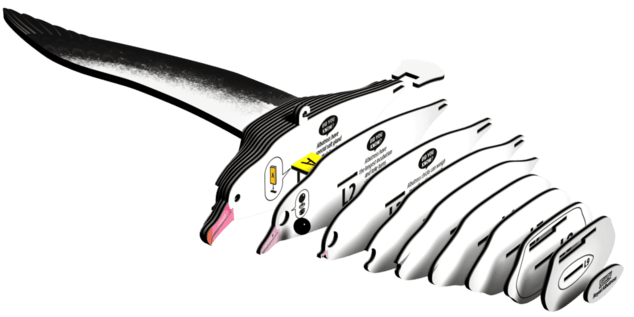 EUGY Kraljevski albatros 3D kartonska sestavljanka