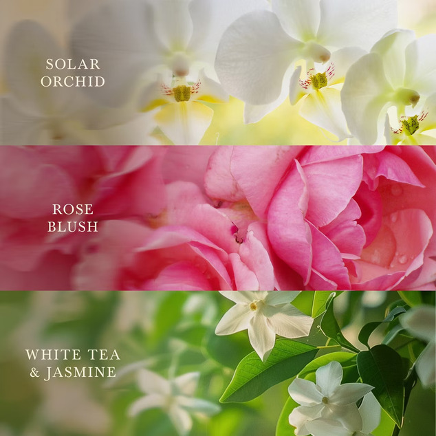 WW Trilogy Kerze Mittel Floral Blossoms