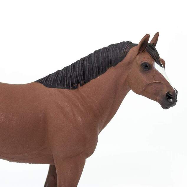 Safari® Quarter horse valach kôň