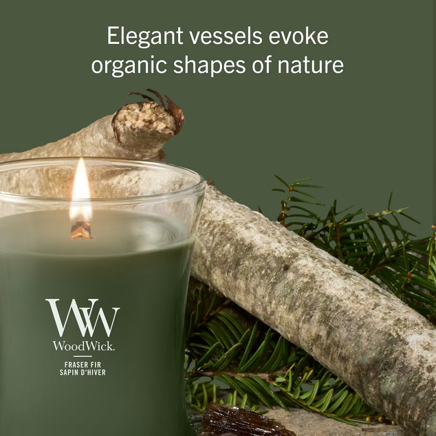 WW Kerze Mittel Frasier Fir