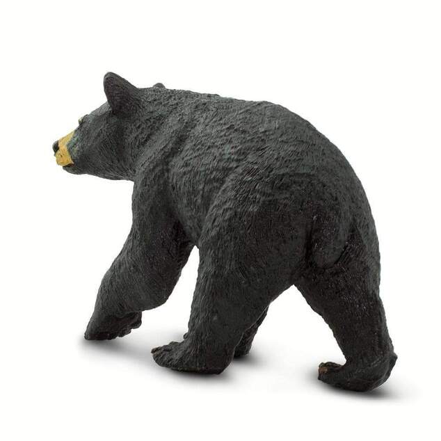 Safari® Čierny medveď