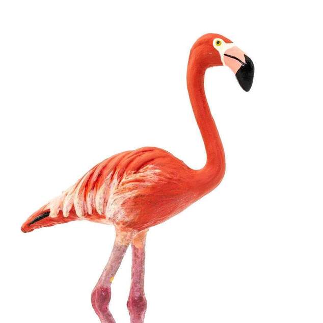Safari® Plameniak