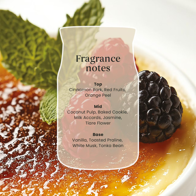 YC Signature Kerze Klein Vanilla Creme Brulee