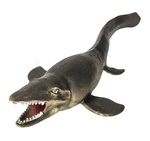 Natura viva: Sandfish - modello realistico di lucertola preistorica (20 cm)