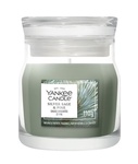 YC Signature Kerze Klein Silver Sage &amp; Pine