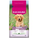Krmivo EUKANUBA Puppy Large rich in lamb 3 kg