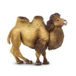 Safari® Бактрийска камила