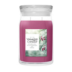 YC Signature Kerze Groß Sparkling Winterberry