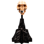 Weta Workshop Lord of the Rings - Craniul unui Orc din Moria Miniatură