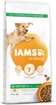 IAMS Dog Adult Large Chicken 12kg