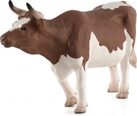 Mojo Simmental dobytok
