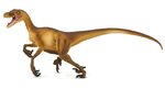 Safari® Velociraptor dinosaurus