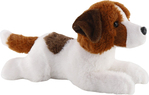 Jack Russell terrier 26 cm