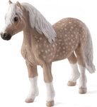 Mon poney gallois
