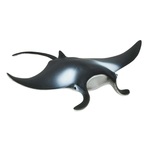 Safari® Manta raja