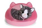 Baby Born Mi Gatita Cookie con transportín