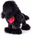 Barboncino nero Charlie, 25 cm