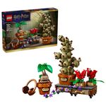 LEGO® Harry Potter™ 76474 Rokfort: Rastliny z herbológie