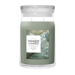 YC Signature Kerze Groß Silver Sage &amp; Pine
