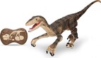 Raptor RC 45 cm