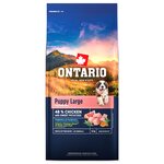 Krmivo Ontario Puppy &amp; Junior Large Chicken &amp; Sweet Potatoes 12kg
