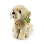 Plüschhund Labrador 23 cm ECO-FRIENDLY SOFT