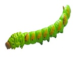 Živá příroda: Caterpillar - realistický model housenky (12 cm)