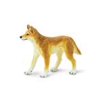 Safari® Dingo