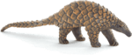 Mojo Šupinavec hrubochvostý