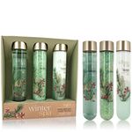 ACCENTRA Set za kupanje Winter Spa cijevi Zimsko voće 2x 60ml + 80g