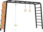 BERG PlayBase Large TL (Disc swing+Rings+Climbing wall)