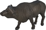 Mojo Byvol africký