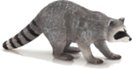 Mojo Medvedík