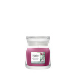 YC Signature Kerze Klein Sparkling Winterberry