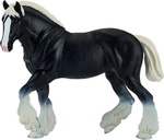 Mein Cydesdale Pferd ist schwarz.