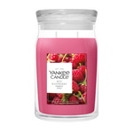 YC Signature Kerze Groß Red Raspberry
