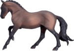 Mojo Hanoverianský kůň