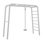 BERG PlayBase Disc swing
