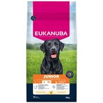 Krmivo EUKANUBA Junior Large rich in fresh chicken 15 kg