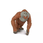 Safari® Orangutan