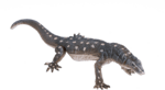 Mojo Varan ogroman
