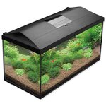 Set Aquael Aquarium Leddy 75 Schwarz Day &amp; Night 2.0 105l