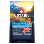 Krmivo Ontario Adult All Breeds Monoprotein Turkey &amp; Sweet Potatoes 0,75kg